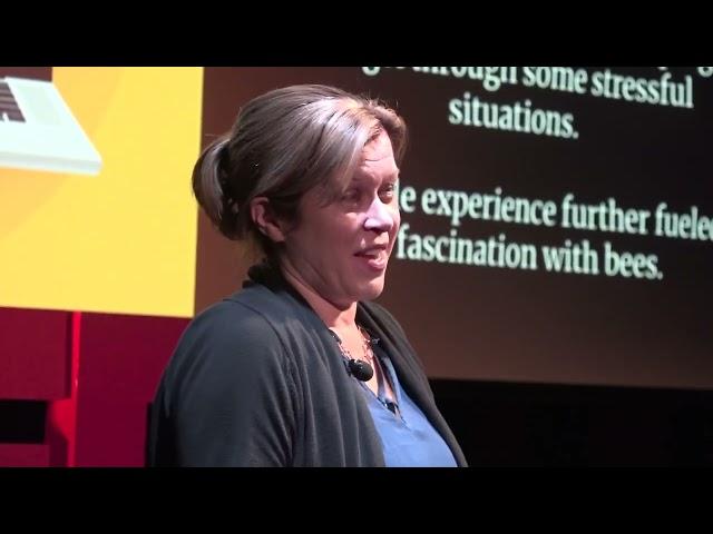 Bees on Fire | Laura Hollis | TEDxYouth@SRDS