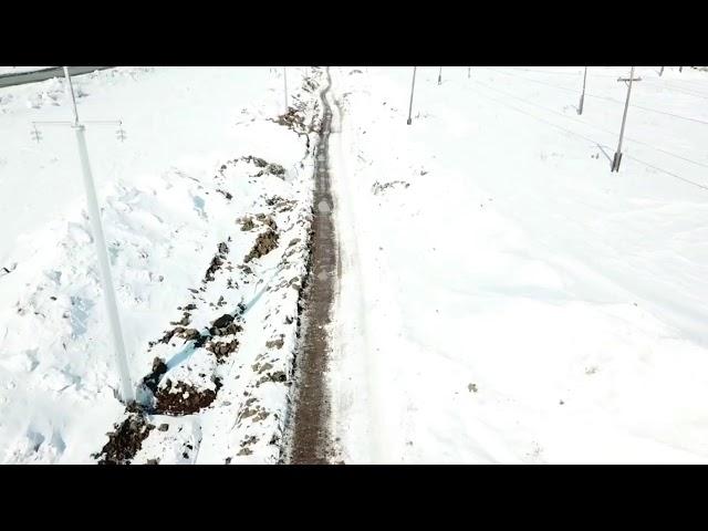 Таймыр  SANY