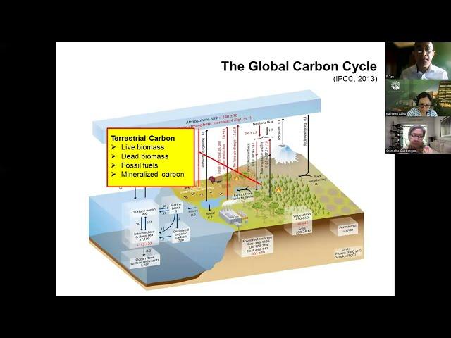 The Carbon Footprint of the Philippine Economy