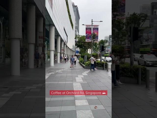 Singapore dreaming!️ #singaporetravel #singaporevlog #singapore #orchardroad #streetwalk