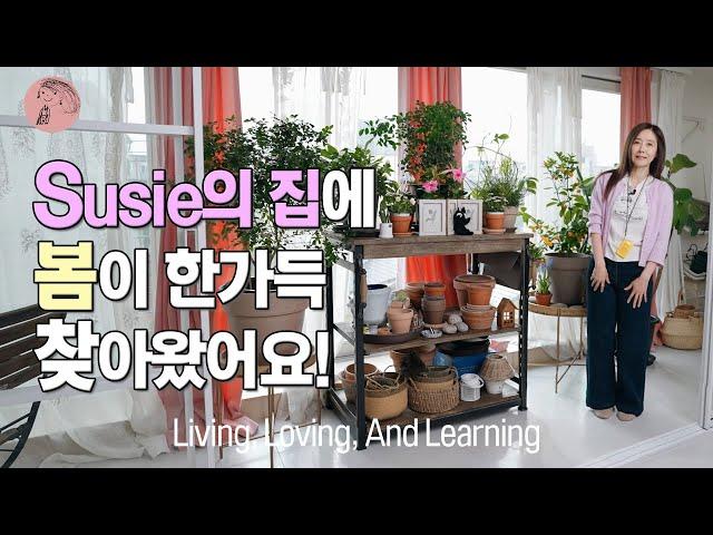 봄향기 가득한 Susie's house를 소개합니다