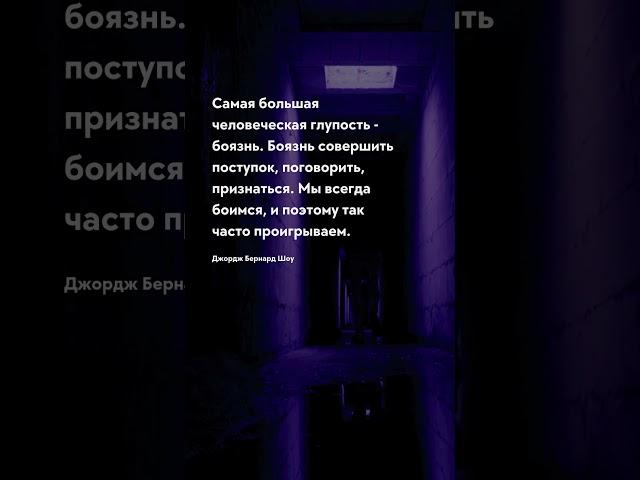 Большая глупость Про жизнь - цитаты #цитаты #цитати #прожизнь #прожиття #цитатадня #цитата #мозг