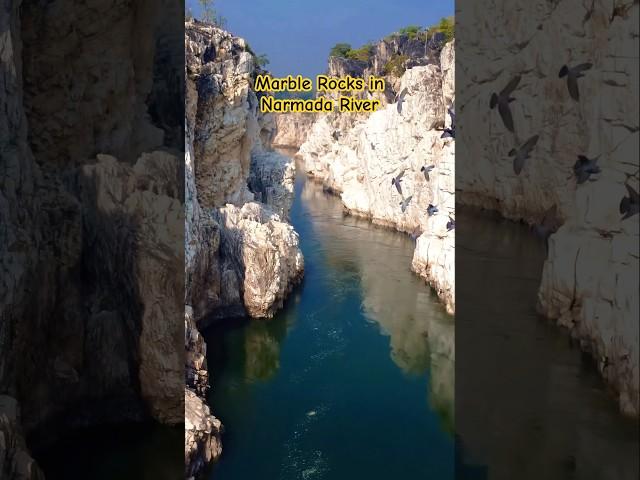 Marble Rocks in Narmada River Bhedaghat Jabalpur #jabalpur #bhedaghat #youtubeshorts #viralshorts