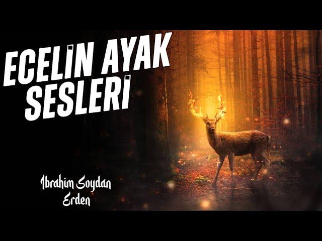 BEKLENEN HABERCİN ÇOKTAN GELDİ | HİÇ FARKETTİN Mİ ?