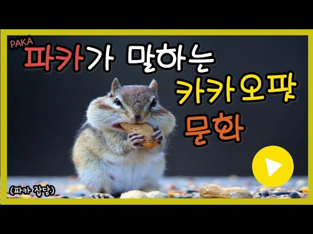 [파카] 파카가 말하는 다음팟의 문화 + 잡담