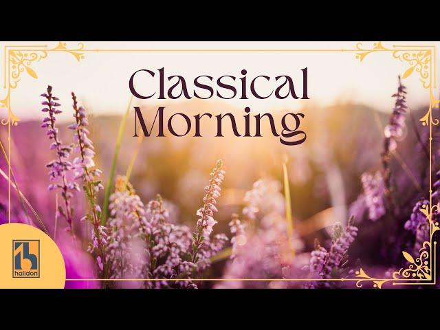 Classical Morning  | Relaxing, Uplifting Classical Music