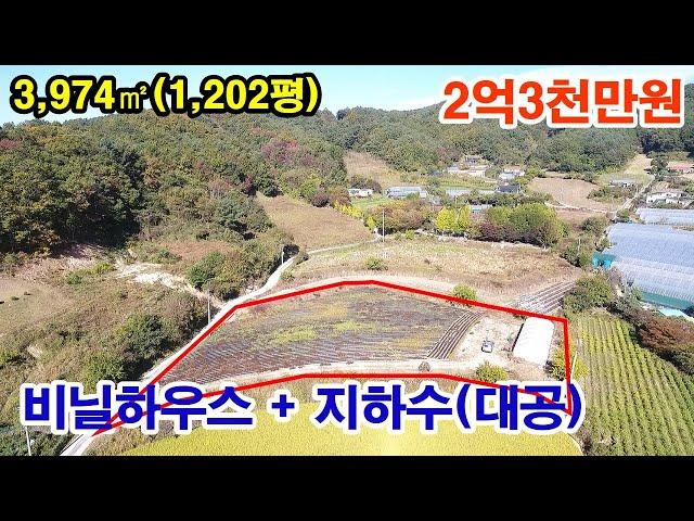 [횡성토지매매] 2차선 접근성 좋은~ 계획관리 남향토지~ 비닐하우스+지하수(대공)까지~ 답(전) 3,974㎡(1,202평)~ 2억3천만원
