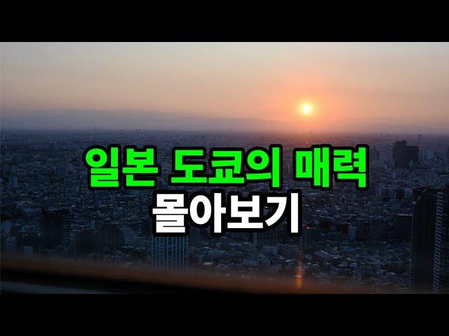 일본 도쿄의 매력: 몰아보기