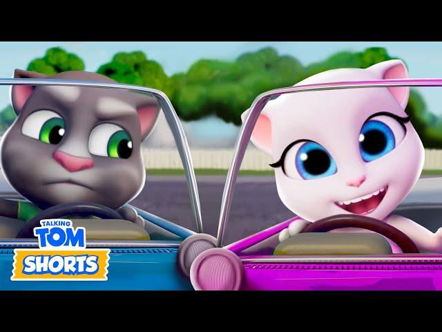 Tom's Cool Rides! ️ Talking Tom Shorts | Fun Cartoon Collection