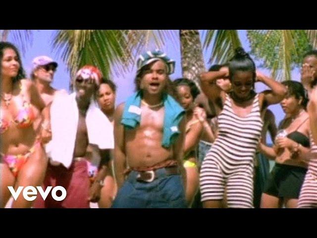 Shaggy, Rayvon - In The Summertime