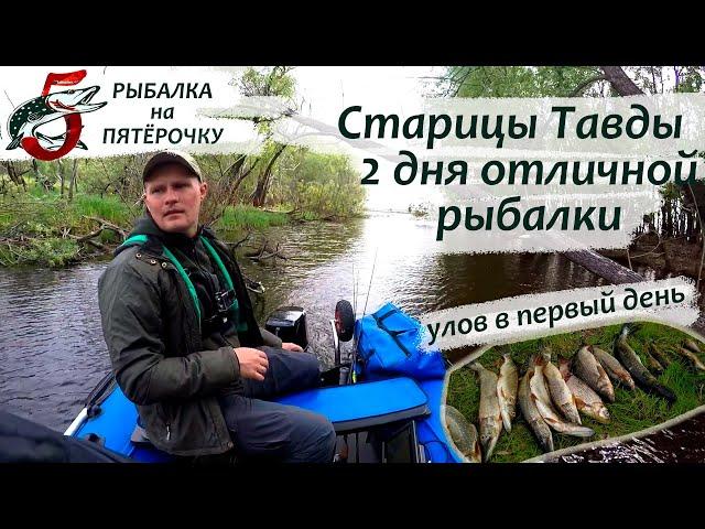Рыбалка в старицах Тавды