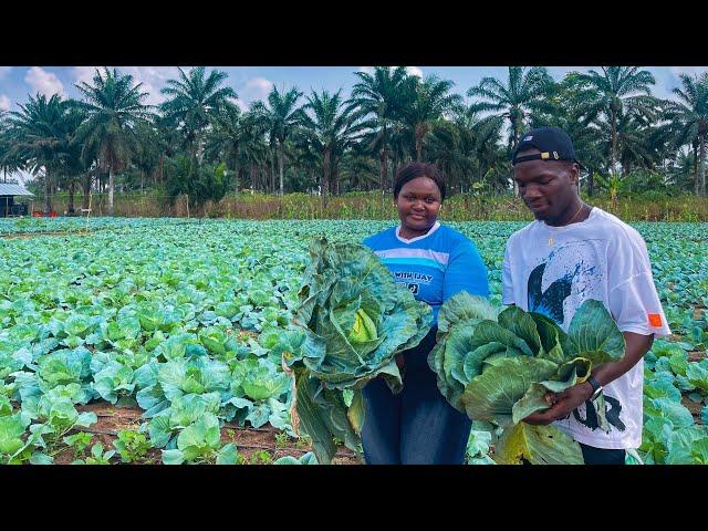 How She Became A Millionaire Farming Cabbage In Nigeria