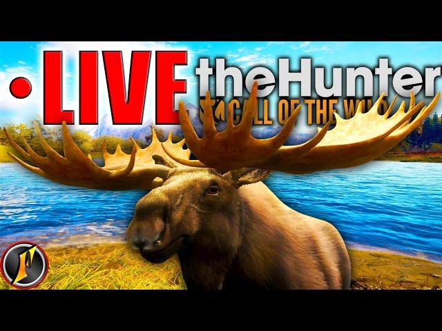 Layton Lakes Moose Grind! | Let's Go! | LIVE!