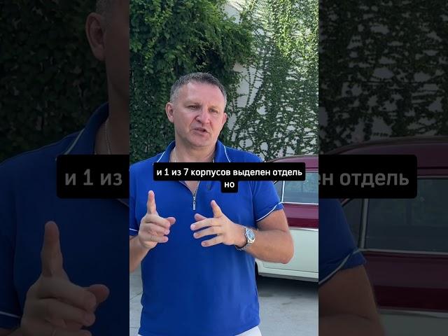 СПА для собак !?  #пхукет