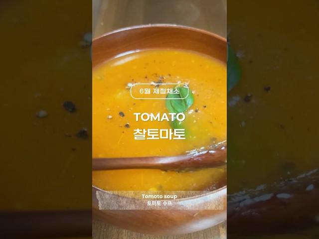 여름 제철채소 찰토마토 Tomato