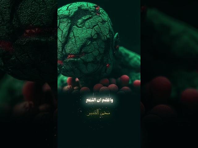 ٢٤ أبريل ٢٠٢٥