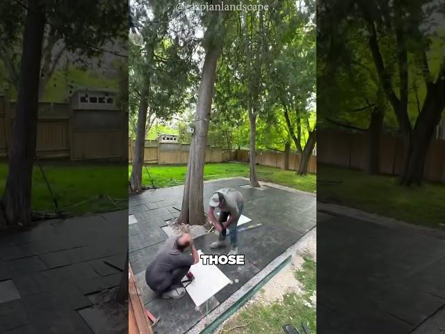 A Backyard Built to Break?