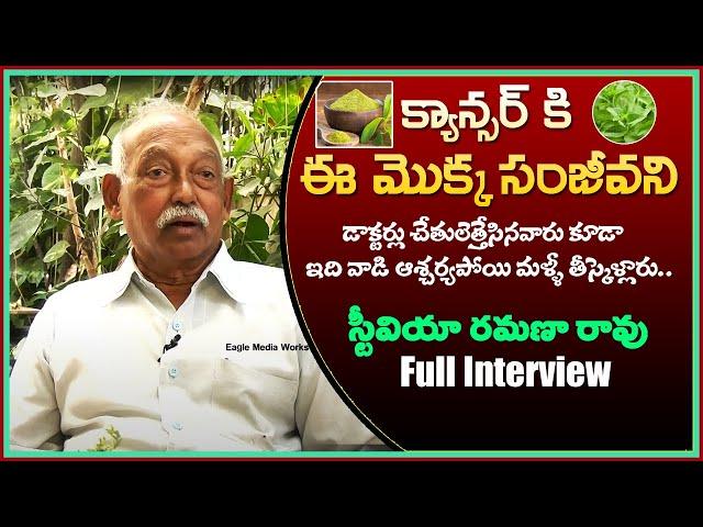 Ramana Rao about Stevia Plant and its Benefits | Eagle Media Works