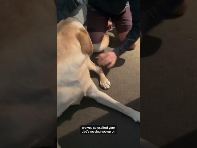Oreo the dog gets the nibs
