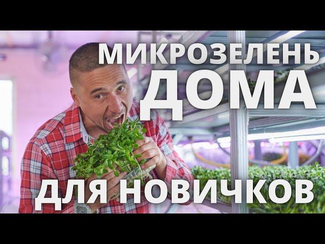 Микрозелень дома методы выращивания огород на окне в квартире на балконе мини огород на балконе