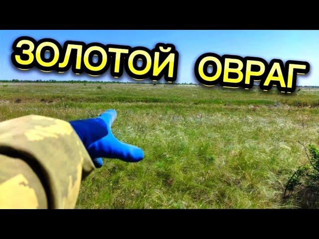 ЧУЙКА НЕ ПОДВОДИТ!!! НАШËЛ НЕТРОНУТЫЙ МЕТАЛЛ!!!ПОИСК БЕЗ КАРТ!!!