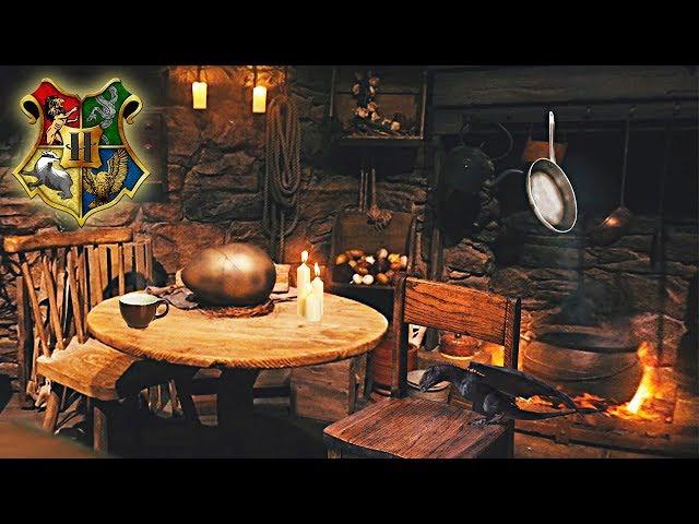 Hagrid's Hut [ASMR]  Harry Potter Ambience  Dragon egg   Cozy Fire  Warm Tea