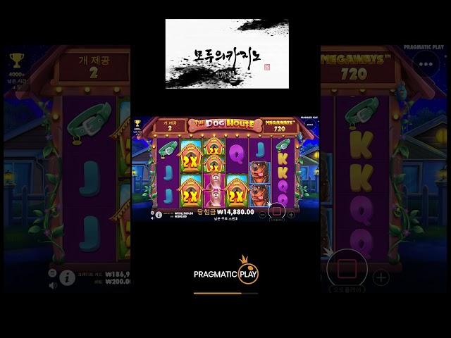 [슬롯][슬롯머신][프라그마틱] 도그하우스 무료스핀구입 소액 즐기는 게임!!
