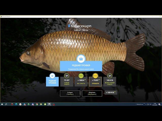 МЕДНОЕ НАЧАЛО РАЗДАВАТЬ СИНИХ ТРОФЕЕВ! МЕГА ФАРМ И КУЧА ТРОФОВ НА ПАЛТУС РУССКАЯ РЫБАЛКА 4 РР4