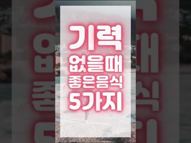 기력없을때 좋은음식 5가지