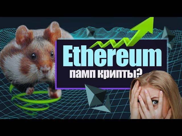 Будет ли памп Ethereum перед хардфорком?