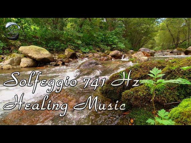  Solfeggio 741 Hz ~ Removes toxins and negativity. Music for meditation.