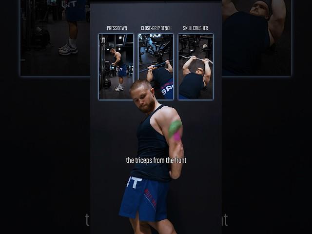 Everyone Is Still Confused About Triceps Training