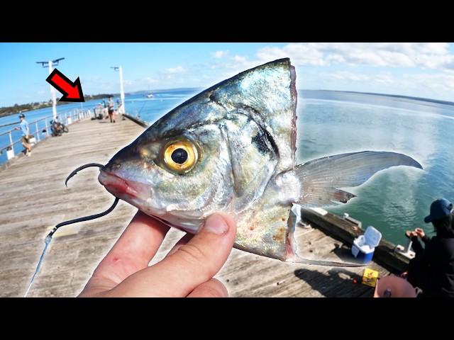 This Fresh Bait Catches GIANT Fish!!