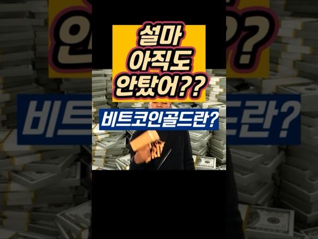내집마련 가능한 '이 코인' #비트코인골드 #비트코인골드코인