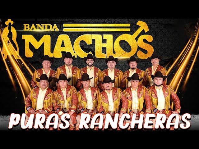 Banda Machos - Puras Rancheras | Los Éxitos Dorados de Banda Machos