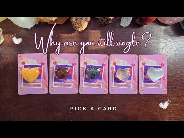 ..:: Why are you still single? ::.. pick a card ..:: tarot love reading ::..