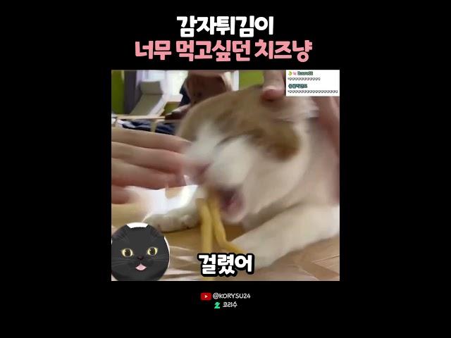 분명 손은 눈보다 빠르다 했는데.. 