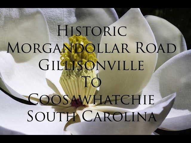 Historic Morgandollar Road, South Carolina - Gillisonville to Coosawhatchie