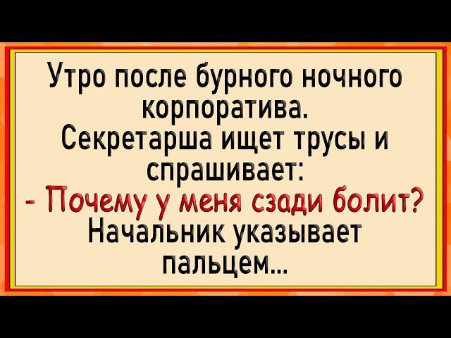 Как секретаршу по кругу пустили! Сборник свежих анекдотов! Юмор!