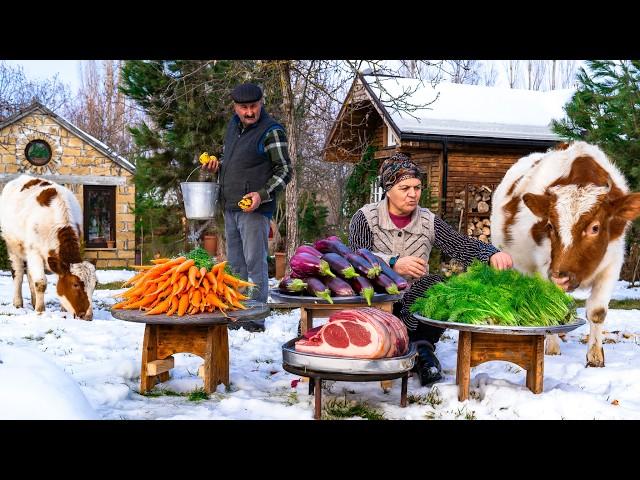 The Village Lunch with Eggplant And Beef | Simple and Delicious Lunch Recipe