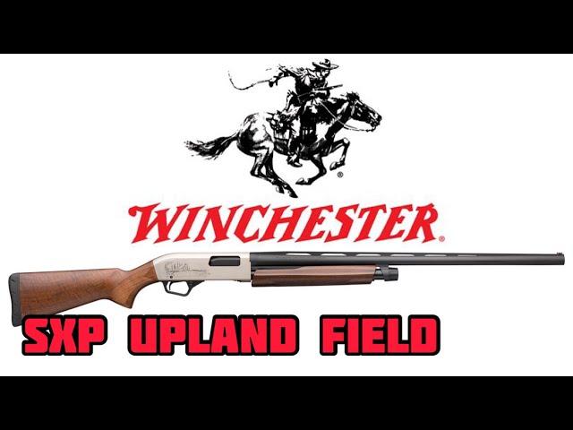 Winchester SXP 2 Year Review