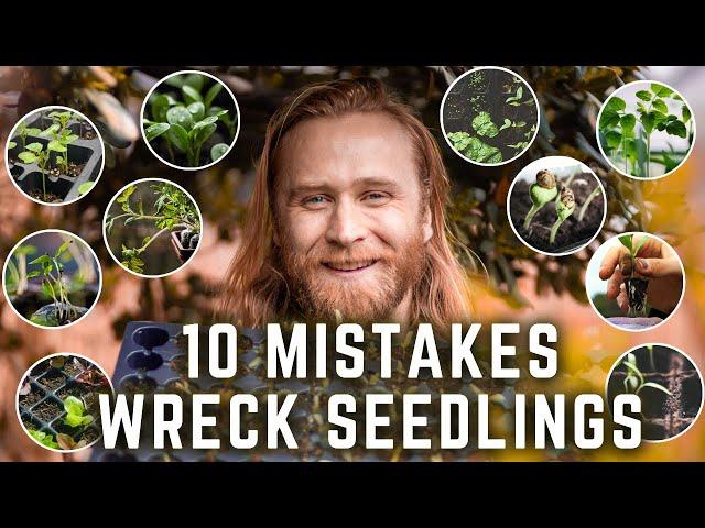 10 Beginner SEED STARTING Mistakes You MUST AVOID