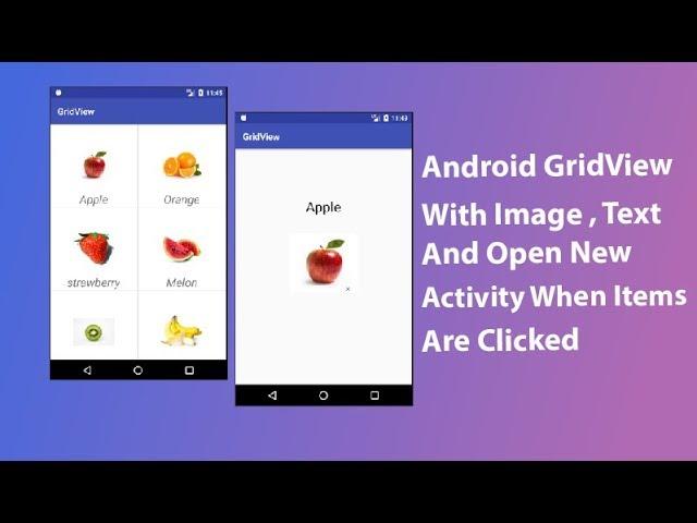 GridView with image, text and Open New Activity When items are clicked