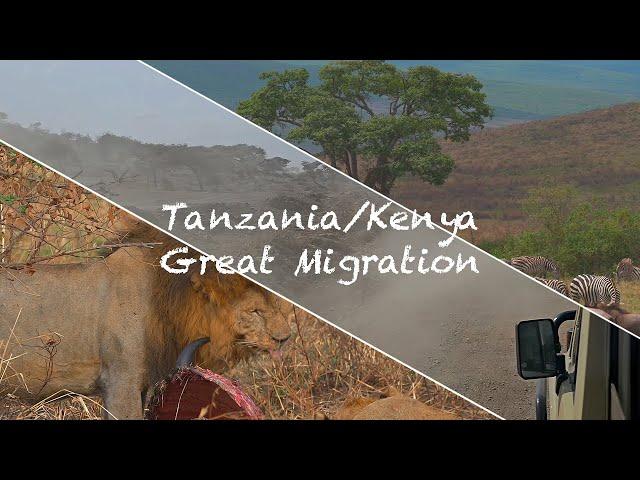 20240717 Tanzania/Kenya Great Animal Migration(坦尚尼亞/肯亞 動物大遷徙) EP.1 of 2 - Tanzania/坦尚尼亞篇