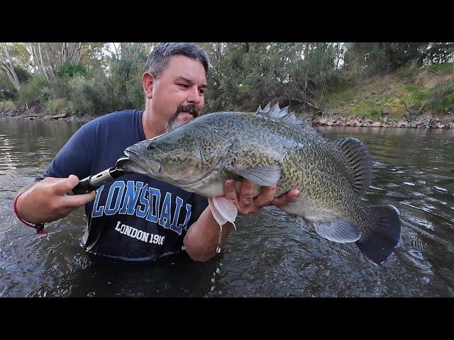 I Caught My Biggest Murray Cod Since 2022 While Fishing With Holly