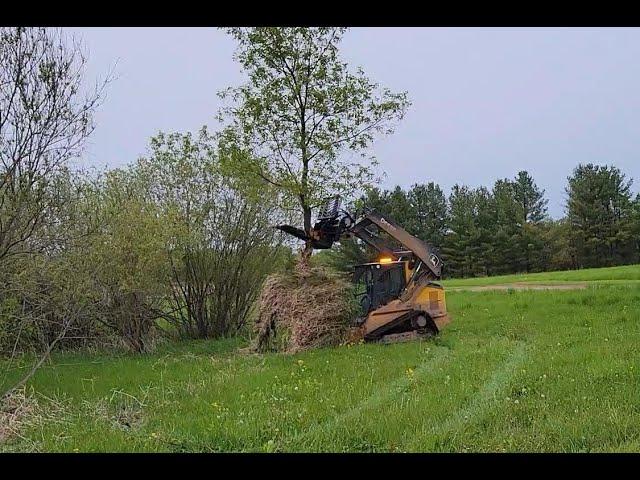 Fastest Skidsteer Tree Removal Tool, Intimidator