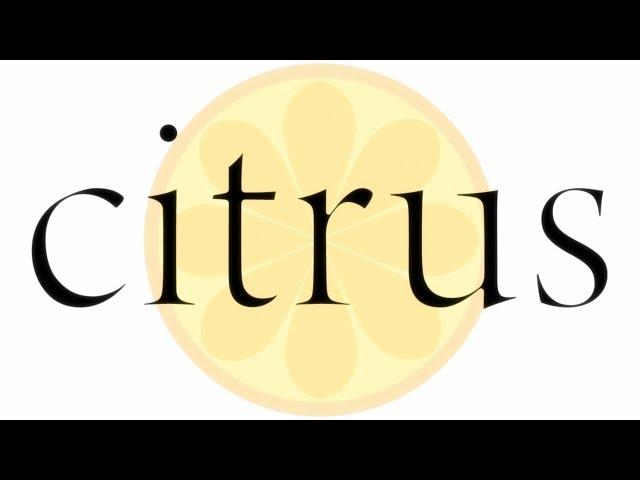 citrus - Opening | Azalea