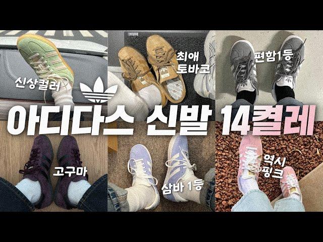 🫢 "지금 사면 늦나요?!" | 맥시멀리스트의 아디다스 삼바,가젤,토바코 등등! 리뷰+비교+추천