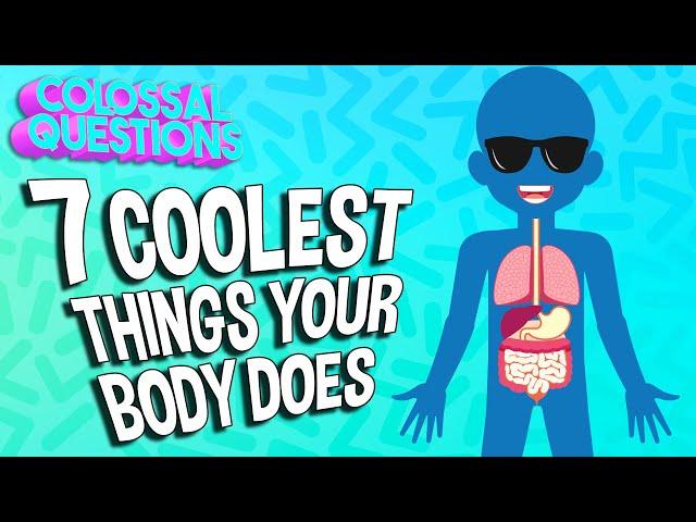 7 Coolest Things Your Body Does | COLOSSAL QUESTIONS