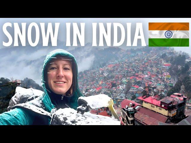 SHOCKED by SHIMLA  Solo India Travel Vlog - Snow in India, Jakhu Temple, The Ridge & Mall Road